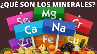 ¿Por qué los MINERALES son Clave en tu dieta💥¿Cómo funcionan los Minerales ¿Qué son los MINERALES [upl. by Leia]