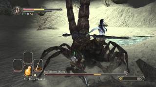 Dark Souls 2  Boss Fight  Scorpion Najka [upl. by Ibed]