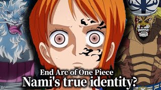 What is Namis true identityReal Name  One Piece theory with Japanese [upl. by Suivat]