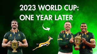 Reliving the Springboks’ Greatest Triumph One Year Later [upl. by Artened895]