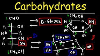 Carbohydrates  Haworth amp Fischer Projections With Chair Conformations [upl. by Lantha923]