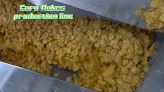 How Does LOYALs Corn Flakes cereal Machine Transform Cereal Production cornflakes machine [upl. by Essie]