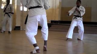 shorinji kempo tanzania [upl. by Naamana439]