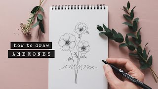 How To Draw Anemones  Floral Illustration [upl. by Iggep510]