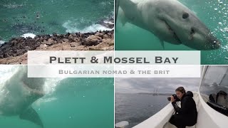 South Africa Trip Plettenberg Bay amp Mossel Bay [upl. by Ylnevaeh691]