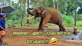 അങ്ങനെ എന്നെ പറ്റിക്കാനൊന്നും നോക്കണ്ട 🤣  Thechikkottukavu Devidasan  രണ്ടാം ഭാഗം [upl. by Ardnuaet]