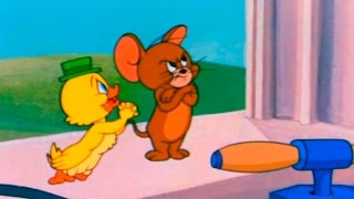 Tom and Jerry  Episode 90  Southbound Duckling 1955 [upl. by Anuahc190]