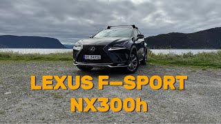 2019 Lexus Nx300h Fsport review  POVdrive [upl. by Pearlstein983]