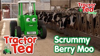 Scrummy Berry Moo 🍦  New Tractor Ted Trailer  Tractor Ted Official Channel [upl. by Artim]