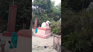 Siddheshwar mandir short video  viral video [upl. by Gathers]