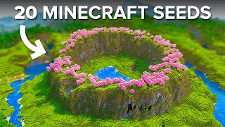 20 Seeds You Must Try in Minecraft 120 [upl. by Anesusa]