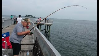 12 Best Fishing Spots in Connecticut 2022 [upl. by Blynn]