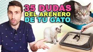 35 DUDAS sobre EL ARENERO DE TU GATO  Preguntas y Respuestas de un Veterinario [upl. by Iaverne]