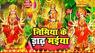 निमिया के ड़ाढ़ मईया  DeviPachra  Nimiya Ke Dadh Maiya  Devi Geet 2024 [upl. by Massie]