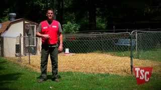 How to Prevent and Treat Coccidiosis in Chickens  Chicken Care  Tractor Supply Co [upl. by Jollenta]