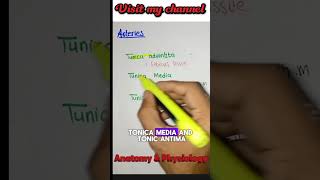 Arteries anatomy shorts bsn [upl. by Johnathan858]