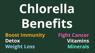 Chlorella Benefits Immunity Detox Weight Loss Cancer Vitamins Miinerals [upl. by Grobe]