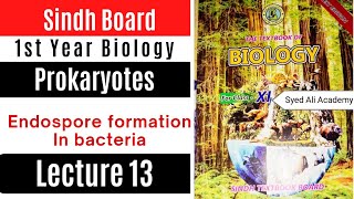 Endospore formation in bacteria  prokaryotes  class 11 1st Year biology Sindh text book board [upl. by Shanta]