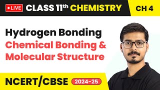 Hydrogen Bonding  Chemical Bonding and Molecular Structure  Class 11 Chemistry Chapter 4  live [upl. by Ossie]