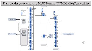 Physical Connectivity between Ciena TransponderMuxponder to CCMD8x16 in Signal Flow of DWDMCDC [upl. by Emmerich]