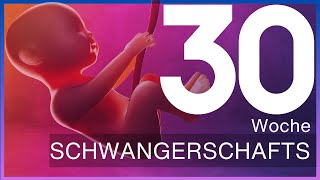 30Schwangerschaftswoche Was du jetzt über dein Baby wissen solltest  Update 30 SSW – SSW30 [upl. by Oiznun]