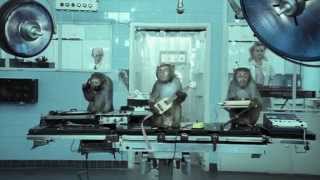 The Secrets Behind the Basement Jaxx Wheres Your Head At Video [upl. by Eidarb712]