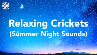 Night Time Summer Nature Sounds Cricket Conversations For Sleeping 12 Hours [upl. by Dorie]