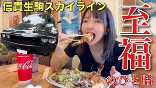 孤独な車好き女子の至福のひと時 チャレンジャー 88 信貴生駒スカイライン ダッジチャレンジャー [upl. by Nhor682]