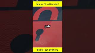 What is PKI and Encryption Explained in 60s technology sadiqtechsolutions pki encryption [upl. by Nolyar]