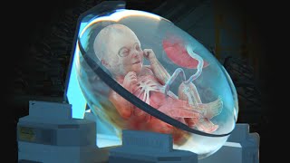 This Is How Babies Will Be Born in 2050 [upl. by Ttocs]