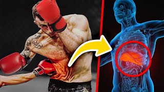 Liver Shots Explained  Boxing [upl. by Fuhrman]