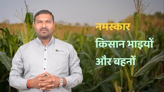 Rivulis Drip Irrigation for Maize  Hindi  AI Series  Rivulis India [upl. by Llerrud297]