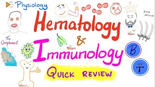 Review of Blood Physiology and the Immune System Immunology and Hematology [upl. by Annahtur]