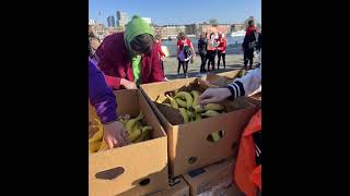 NN Rotterdam Marathon Walk 🥾🥾🥾 [upl. by Hellene]