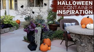 Halloween Container Inspiration  Garden Answer [upl. by Catharine]