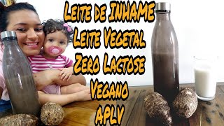 Leite de INHAME Leite Vegetal Zero Lactose Receitas APLV Leite Vegano Para Bebê [upl. by Vano]