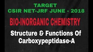 Lecture  7 ll BioInorganic Chemistry ll Structure amp Functions Of CarboxypeptidaseA [upl. by Aidnac]