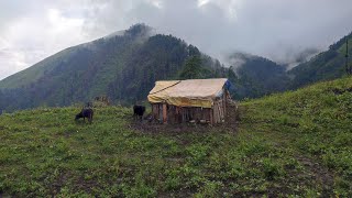 This is Himalayan Life  Most Peaceful And Relaxing winter season daily lifestyle Ep 281  Village [upl. by Aiekam517]