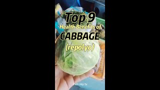 agriculture TOP 9 HEALTH BENEFITS OF CABBAGE REPOLYO [upl. by Emyam179]