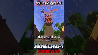 I Made Skyblock in Minecraft Hardcore 13 [upl. by Kendall725]