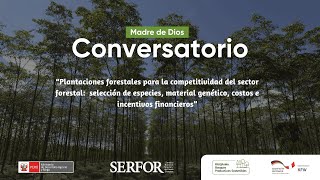 🔴 Plantaciones Forestales aportando a la competitividad del sector forestal  Madre de Dios [upl. by Chap]