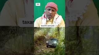 Taxanayaashii xabsiyada sh caanood iyo sida loo dhibaateeye shiiqa [upl. by Huba]