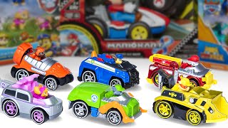 Paw Patrol Collection Review What I Discovered Inside My Paw Patrol Box Surprised Meunboxing ASMR [upl. by Aicitel]