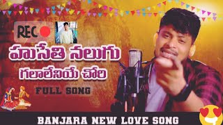 HUSETHI NALAGU GALALAYE CHORI FULL SONG  BANJARA LOVE FAILURE SONGS  ST LOVE FAILURE SONGS [upl. by Taub]