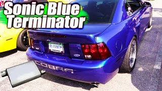 EXHAUST ▶ Sonic Blue Terminator w Xpipe and Stingers [upl. by Llamaj]