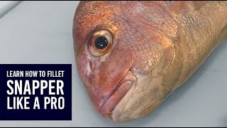 How to fillet skin and debone New Zealand snapper tāmure [upl. by Lian936]