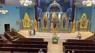 Divine Liturgy  June 14 2020  11 am Slavonic Liturgy [upl. by Nifares]