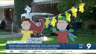 Volunteers needed at Winterhaven Festival of Lights [upl. by Alphonse868]