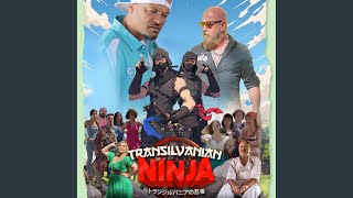 Ninja From quotTransilvanian Ninjaquot [upl. by Virnelli]