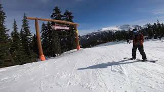 Skiing at Upper Whiskey Jack and Enchanted Forest Whistler mountain Mar 15 2024 [upl. by Lars]